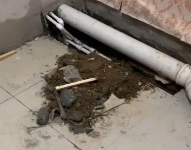 株洲市卫生间漏水检测哪家好